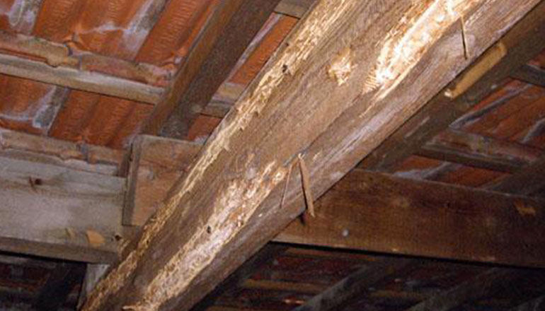 Traitement de charpente à Gagny (93220) en Seine Saint Denis (93) 93